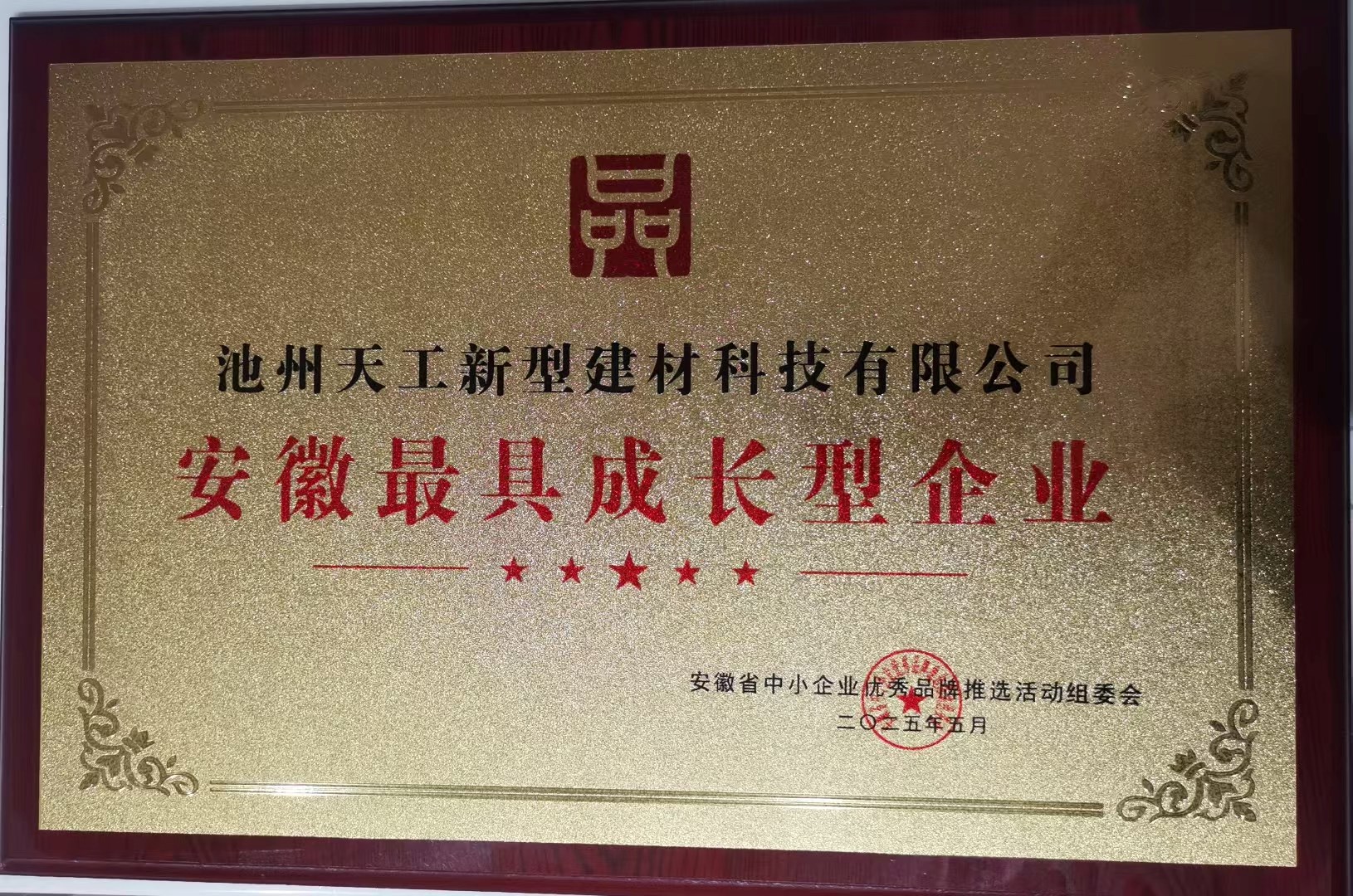 安徽最具成長型企業